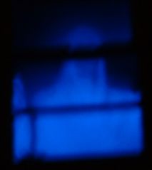 How much is that ghost in the window ?